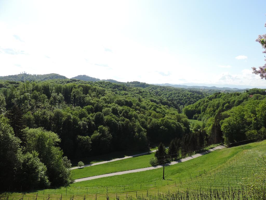 Weingut Gaestezimmer Gruber Ehrenhausen Exteriör bild